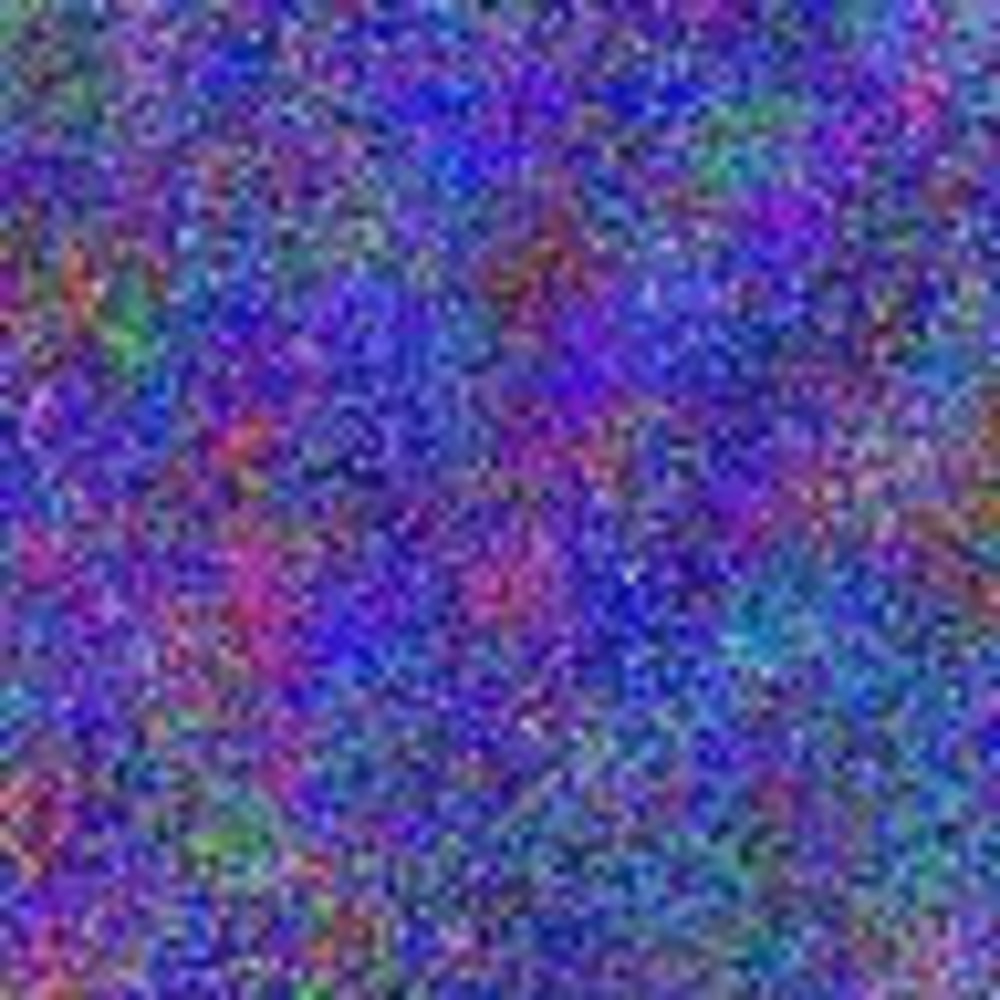 Meet your Posher, Geneva